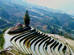 Yuanyang Rice Terraces Photography Tour